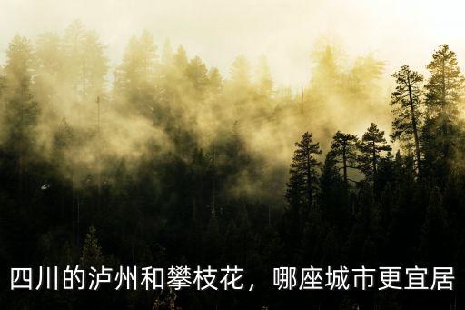 北海與攀枝花哪里更宜居,哪座城市更宜居