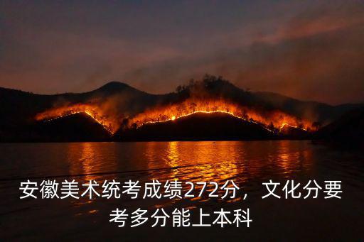 安徽學(xué)藝考文化課需要多少分,安徽美術(shù)統(tǒng)考成績272分