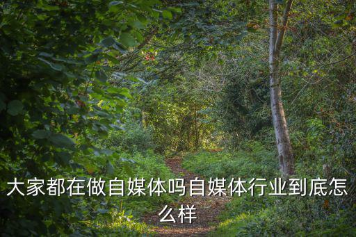 湖北棗陽(yáng)自媒體怎么樣,做自媒體工資怎么樣