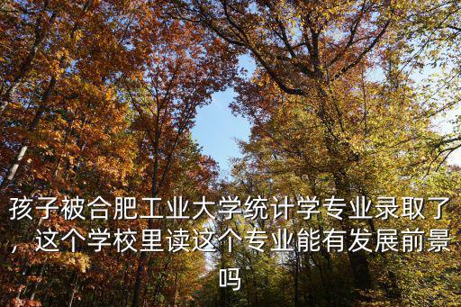 合肥工業大學專業級差是多少,成績在專業51％