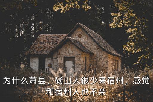 宿州蕭縣多少人,安徽宿州蕭縣人