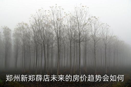 鄭州新鄭薛店未來的房價趨勢會如何