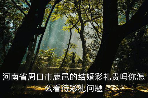 河南省周口市鹿邑的結婚彩禮貴嗎你怎么看待彩禮問題