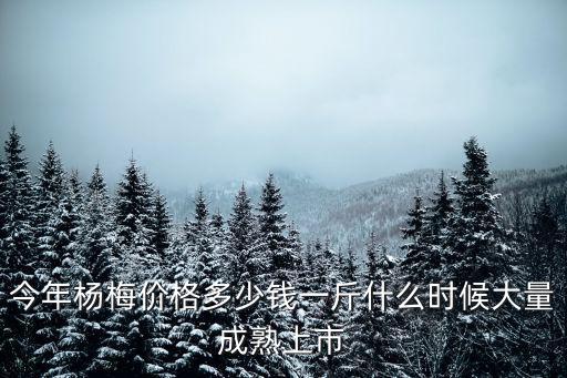 蕪湖應季楊梅多少錢一斤,今年楊梅價格多少錢一斤