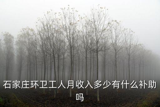石家莊2019環(huán)衛(wèi)工工資多少,環(huán)衛(wèi)工工資多少