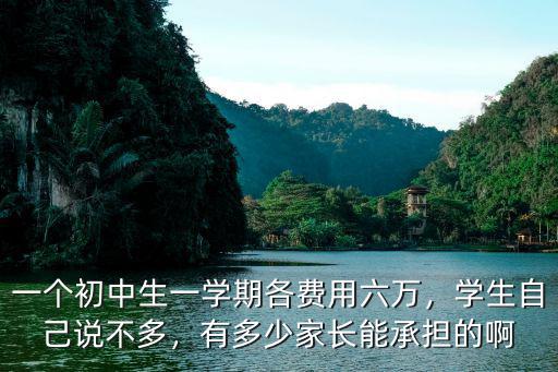 滁州中學一學期要多少費用,一個初中生一學期各費用六萬