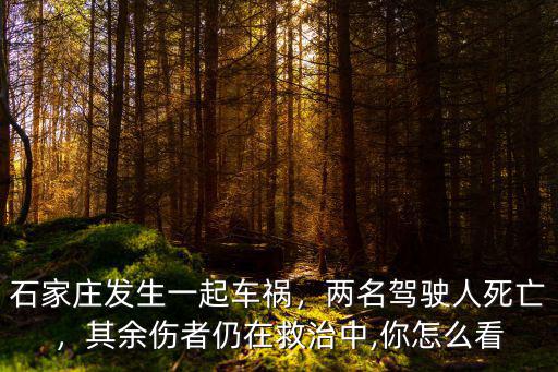 石家莊車(chē)禍死亡多少人,石家莊發(fā)生一起車(chē)禍