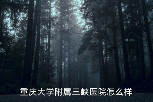 宜昌三峽大學(xué)附屬醫(yī)院怎么樣,重慶大學(xué)附屬三峽醫(yī)院怎么樣