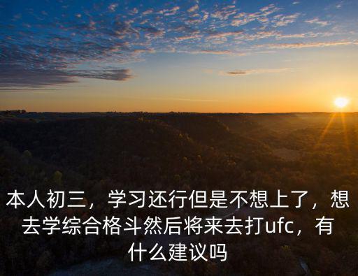本人初三，學(xué)習(xí)還行但是不想上了，想去學(xué)綜合格斗然后將來去打ufc，有什么建議嗎