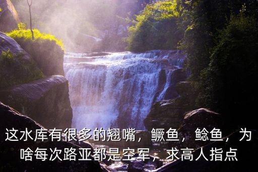 雅安哪里有路亞的水庫,這水庫有很多的翹嘴