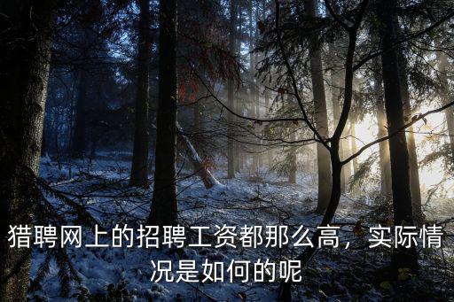 武漢獵聘網(wǎng)上班怎么樣知乎,獵聘這款求職軟件怎么樣