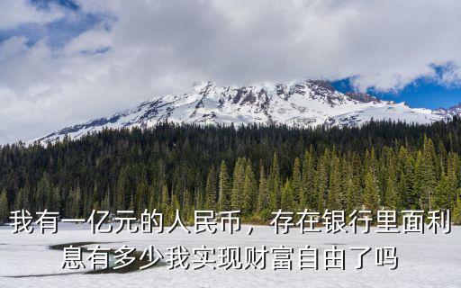 阜陽有多少億人民幣,我有一億元的人民幣