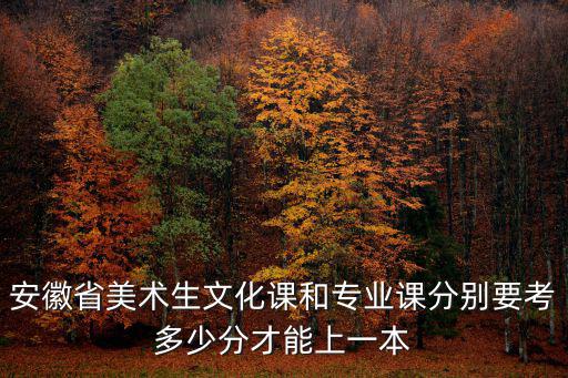 安徽省美術生多少分能上一本,安徽美術統考成績272分
