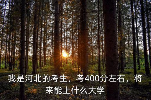 河北考生上北大分數線是多少,我是河北的考生