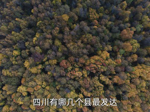 四川有哪幾個縣最發(fā)達