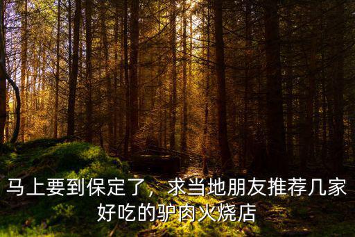 馬上要到保定了，求當(dāng)?shù)嘏笥淹扑]幾家好吃的驢肉火燒店