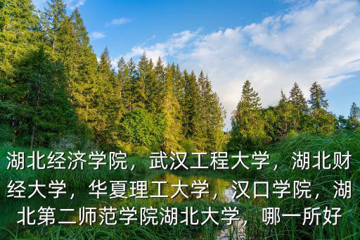 湖北經(jīng)濟(jì)學(xué)院用英文怎么說,湖北經(jīng)濟(jì)學(xué)院