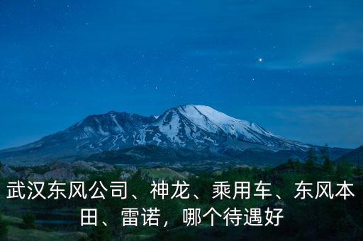 武漢東風(fēng)公司、神龍、乘用車、東風(fēng)本田、雷諾，哪個(gè)待遇好