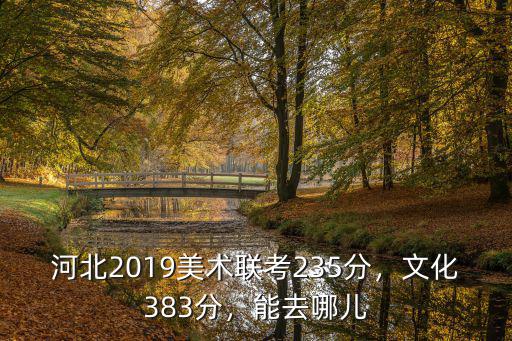 河北2019美術聯考235分，文化383分，能去哪兒