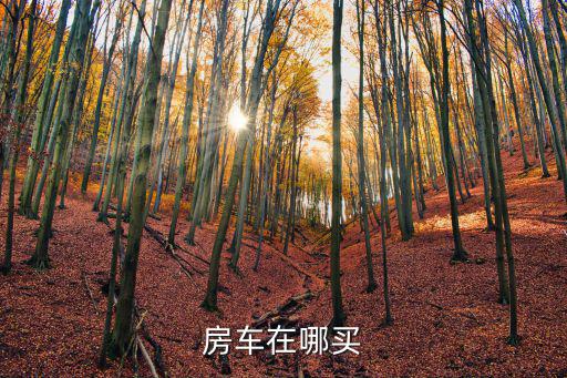 房車(chē)在哪買(mǎi)