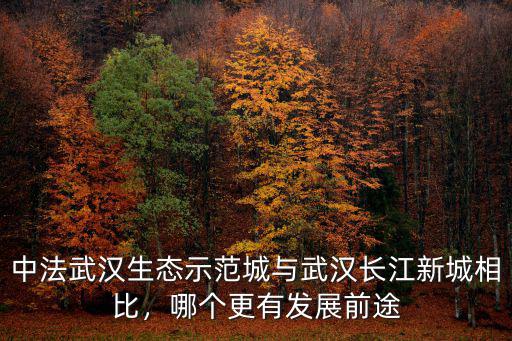 中法武漢生態示范城與武漢長江新城相比，哪個更有發展前途