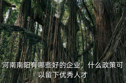 南陽(yáng)哪里有求職招聘,河南南陽(yáng)有哪些好的企業(yè)