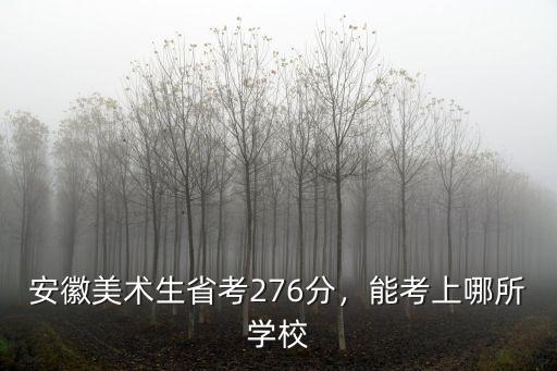 安徽美術生費用大概多少,美術生考大學到底要花多少錢