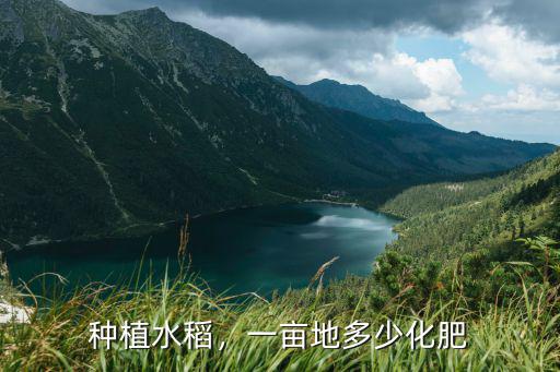 水稻1畝地用多少復合肥,一畝地多少化肥