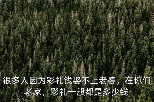 很多人因為彩禮錢娶不上老婆，在你們老家，彩禮一般都是多少錢