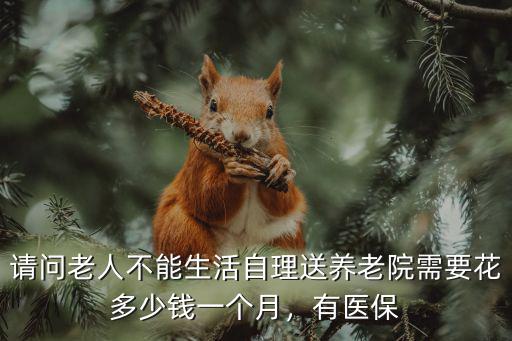 請問老人不能生活自理送養老院需要花多少錢一個月，有醫保