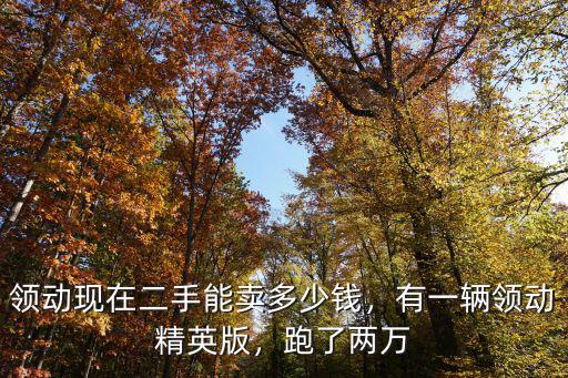 領(lǐng)動現(xiàn)在二手能賣多少錢，有一輛領(lǐng)動精英版，跑了兩萬