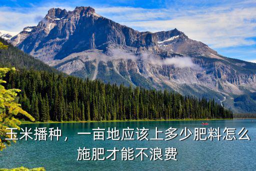 玉米播種，一畝地應該上多少肥料怎么施肥才能不浪費