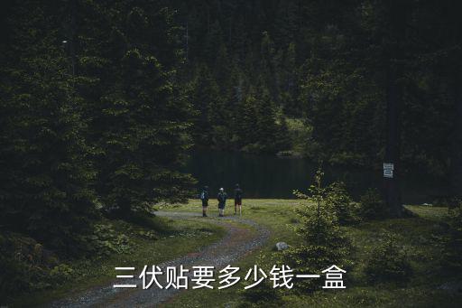 淮南中醫院三伏貼多少錢,三伏貼要多少錢一盒
