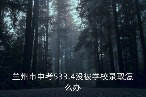 沒(méi)被湖北民辦初中錄取怎么辦,幼升小民辦不錄取怎么辦