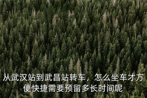 黃金口坐車怎么到武漢二中,怎么坐車才方便快捷