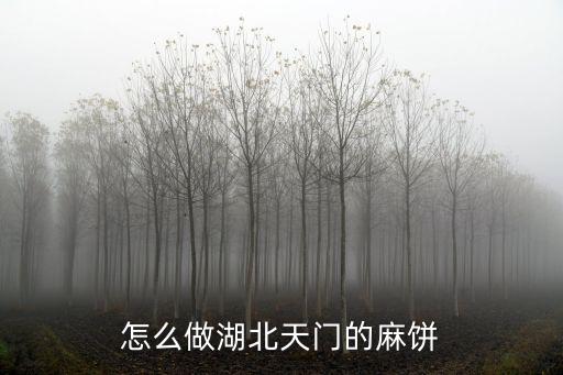 湖北天門是怎么過年的,怎么做湖北天門的麻餅