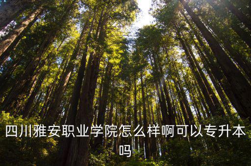 雅安職業技術學院專升本到哪里,四川雅安職業學院怎么樣啊