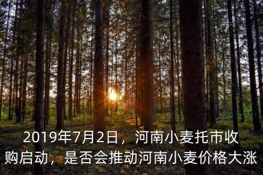 2019年7月2日，河南小麥托市收購啟動，是否會推動河南小麥價格大漲