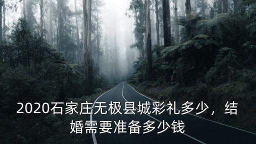 石家莊南莊村彩禮多少錢,石家莊井陘彩禮多少錢