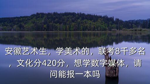 安徽美術聯考多少分達本,聯考8千多名