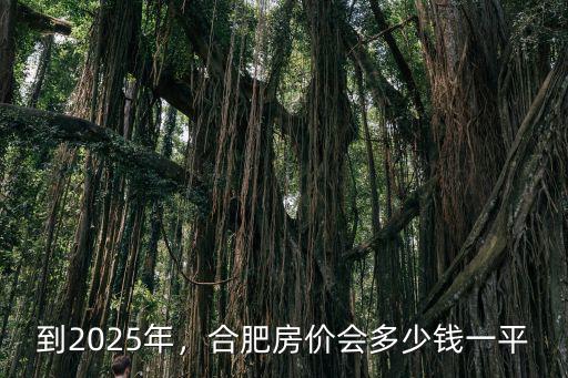 到2025年，合肥房?jī)r(jià)會(huì)多少錢(qián)一平