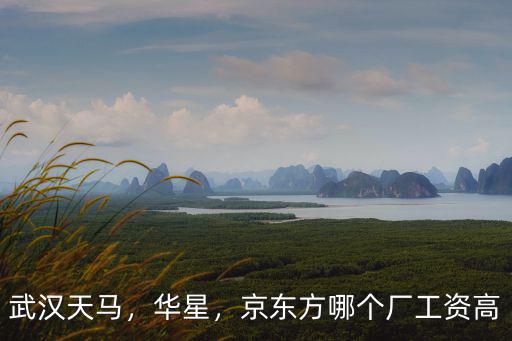 武漢天馬，華星，京東方哪個廠工資高