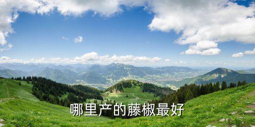 四川綠色藤椒油哪里有,藤椒油是麻油嗎