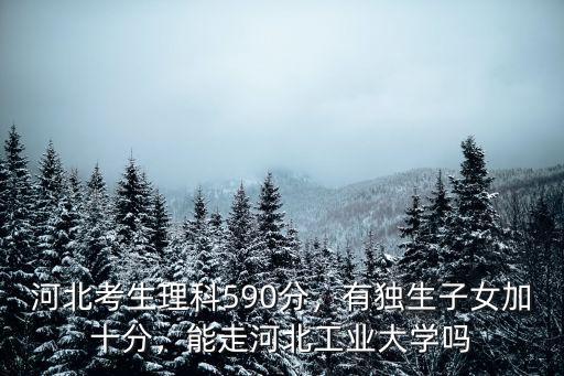河北考生理科590分，有獨生子女加十分，能走河北工業大學嗎
