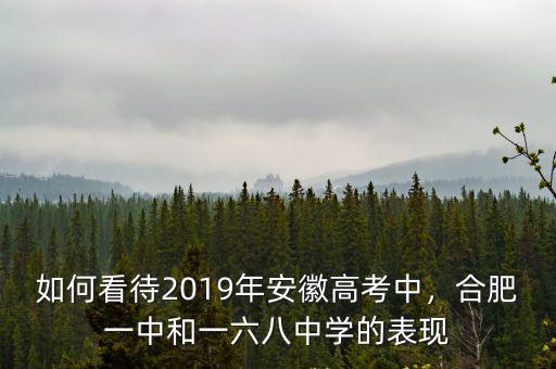 如何看待2019年安徽高考中，合肥一中和一六八中學的表現