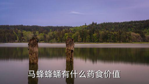 馬蜂蜂蛹有什么藥食價(jià)值