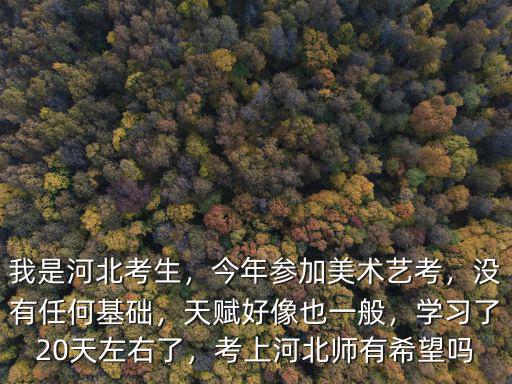 我是河北考生，今年參加美術(shù)藝考，沒有任何基礎(chǔ)，天賦好像也一般，學(xué)習(xí)了20天左右了，考上河北師有希望嗎
