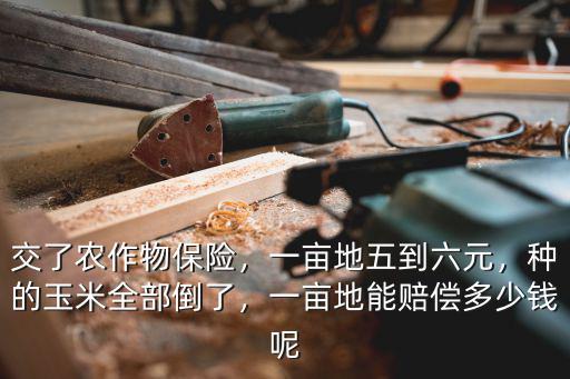 淮北玉米保險一畝賠多少錢,一畝地能賠償多少錢呢