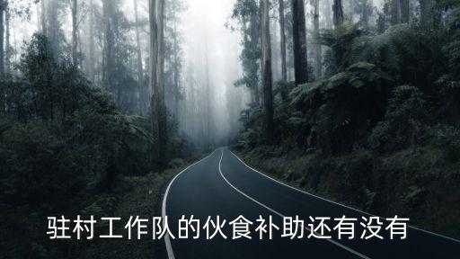 駐村工作隊的伙食補助還有沒有