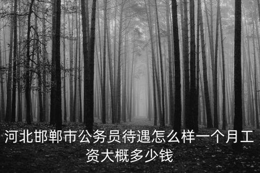 河北正科級公務(wù)員工資多少錢,一個(gè)月工資大概多少錢